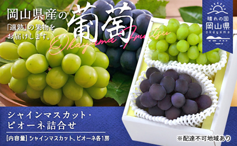 ぶどう 2026年 先行予約 果物 詰合せ シャイン マスカット 1房 ニュー ピオーネ 1房 合計約1.0kg ブドウ 葡萄 岡山県産 国産 フルーツ 果物 ギフト