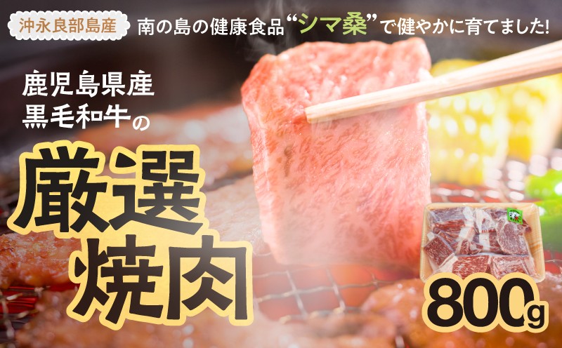 
                  南の島育ち！牛焼肉おまかせ 800g（リブロース・サーロイン・ヒレのいずれか1部位）　C079-001
                