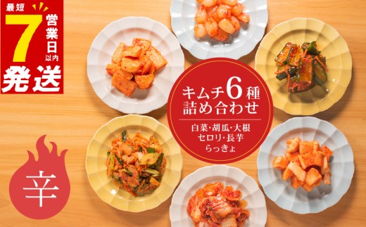 辛口 キムチ 6種 詰め合わせ 食べ比べ 小分け 白菜 長芋 胡瓜 大根 セロリ らっきょ アソート バラエティーセット ごはんのお供 ピリ辛 お米 ごはん ビール 酒 おつまみ 漬物 北海道 昆布 国産 りんご 桃 果物 魚 海鮮 野菜 BBQ 焼肉 惣菜 キムチ鍋 キムチチャーハン お試し 大阪府 松原市