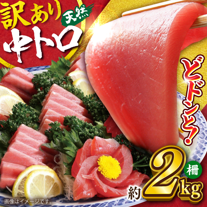 【訳あり】天然 まぐろ 中トロ（約2kg）【横須賀商工会議所 おもてなしギフト事務局（本まぐろ直売所）】[AKAK011]