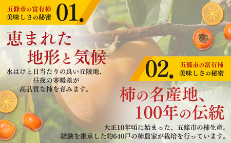 【先行予約・2024年度発送分】［本場の柿］奈良・西吉野の富有柿２４玉入り（２Lサイズ）※2024年11月上旬～12月上旬順次発送予定