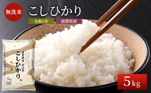 米 こしひかり BG無洗米 5kg 令和6年産新米 ふるさと応援特別米 無洗米 お米 こめ コメ おこめ 白米 コシヒカリ