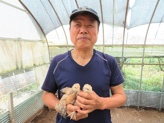 媛っこ地鶏のモモ肉 ムネ肉 ササミ肉3点セット 約1～1.3kg