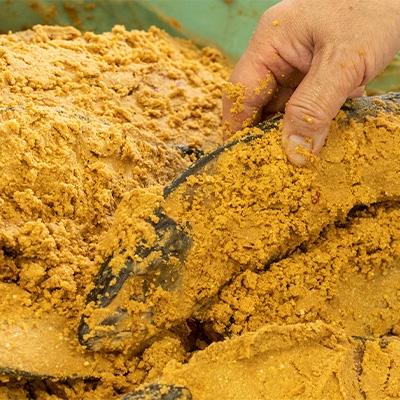 ふるさと納税 宮津市 橋立やまいちのサバへしこ(大　2本) |  | 01