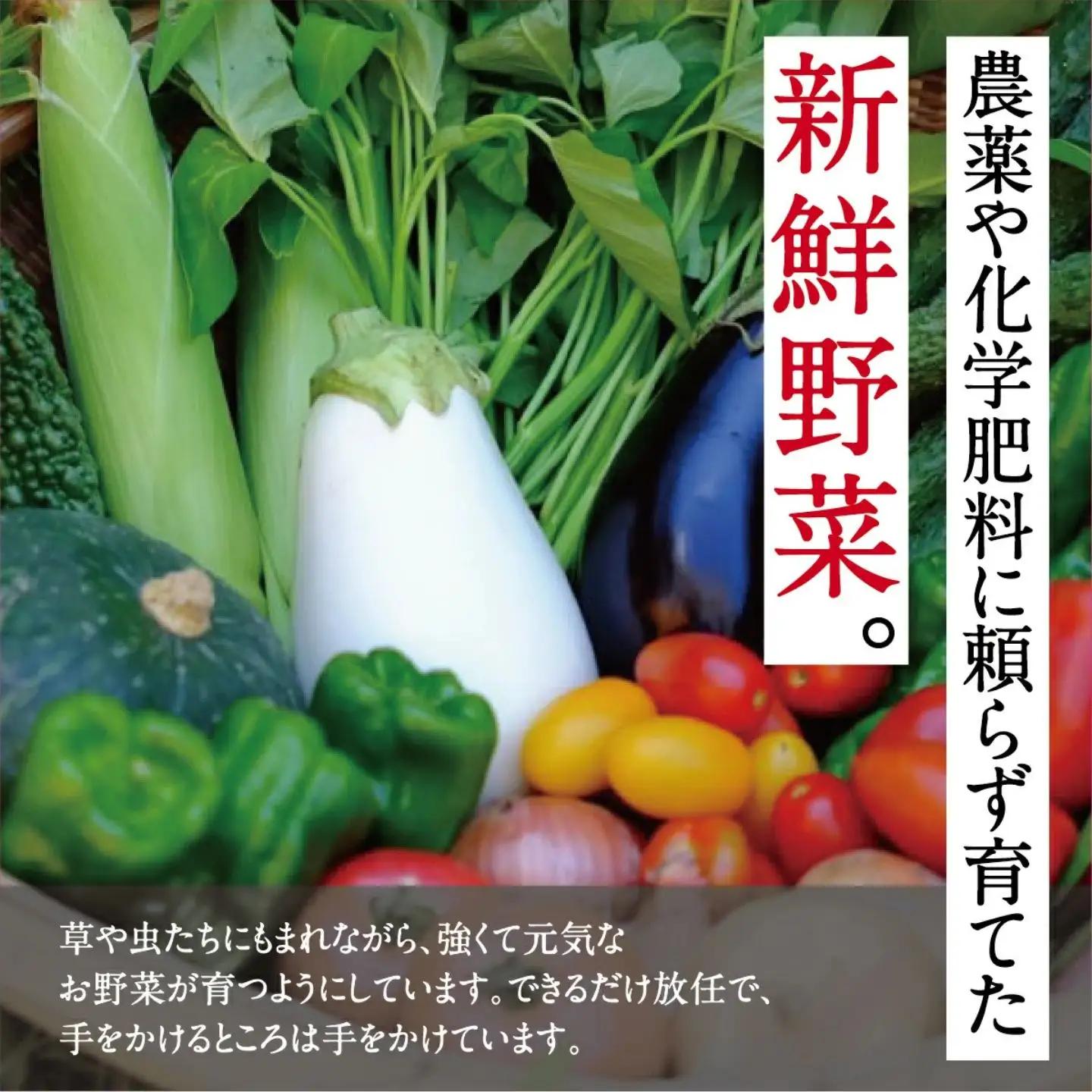 [定期便 12回] 【大阪能勢産】 《農家直送》 べじたぶるぱーくの旬の新鮮野菜詰合せ Sセット (5種類) | 12回(毎月) 定期便 12ヶ月 定期 野菜詰め合わせ 野菜 農薬 化学肥料不使用 新
