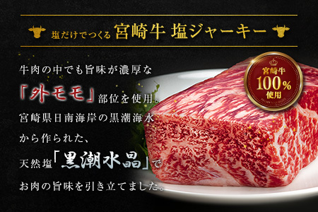 塩だけでつくる 宮崎牛 塩ジャーキー 5袋（20g×5袋）ブランド牛 ビーフジャーキー おつまみ 珍味 グルメ 干し肉 宮崎県産