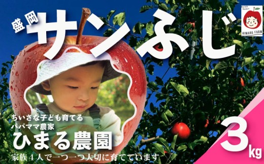 【先行予約】 盛岡産 サンふじ 3kg 〔11月下旬～発送〕 りんご くだもの フルーツ 林檎 リンゴ アップル 農家直送 新鮮 完熟 旬 国産 冬 りんごジュース 岩手県 盛岡市 東北 岩手 盛岡 ひまる農園 himaru004
