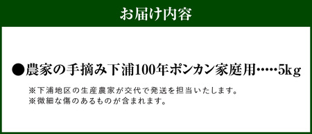 S040-029_【訳あり】農家の手摘み　下浦100年ポンカン　家庭用　5kg