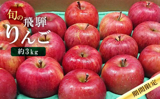 
                  【先行予約 9月中旬～1月下旬発送】飛騨高山産 山本果樹園 旬の飛騨りんご 約3kｇ(8個～11個）| りんご 果物 フルーツ おいしい 大容量 飛騨高山 山本果樹園 MA002
                