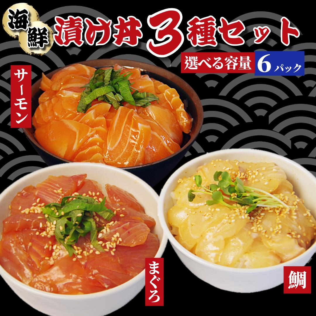 【ふるさと納税】 漬け丼 3種セット 80g×6パック ご飯が止まらない！サーモン・まぐろ・鯛 豪華のせ 海鮮丼 漬け丼セット まぐろ 鯛 サーモン 小分け パック ご飯 漬け マグロ 鮪 たい 刺し身 刺身 パック ご飯 米 にあう 惣菜 晩ご飯 徳島県 小松島