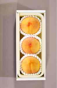 家庭用 黄金桃 3玉 大玉 約900g 岡山県産【先行予約 2025年8月下旬から順次発送】