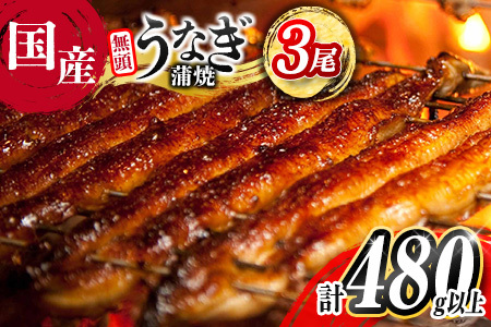 ＜2025年10月お届け＞高評価!! うなぎ 鰻楽 国産 蒲焼 3尾 人気 無頭 計480g以上 おすすめ 冷凍 簡単調理 個包装 鰻 魚介 贈答品 ギフト 贈り物【C444-2510】
