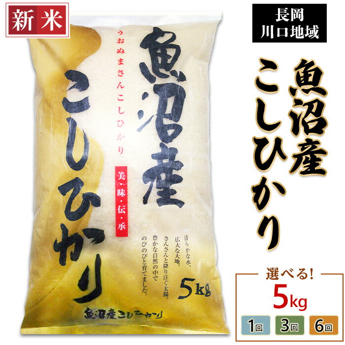 【ふるさと納税】新米予約 令和7年産 米 定期便 5kg 魚沼 新潟 コシヒカリ 選べる 1回 3回 6回 3ヶ月 6ヶ月 新潟こしひかり 精米 白米 お米 新潟県魚沼産コシヒカリ（長岡川口地域）（越後農産）