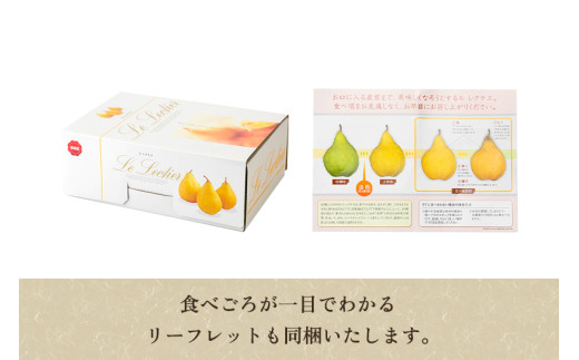 【2026年先行予約】 新潟特産 幻の洋梨ル・レクチェ 3kg 《11月下旬から順次発送》 果物 フルーツ ギフト 加茂市産ル・レクチェ ルレクチェ 梨 西洋梨 加茂市 のざきファーム