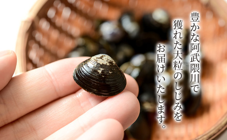 砂抜き済み 宮城県亘理町産  冷凍しじみ約1.6kg（400g×4パック）