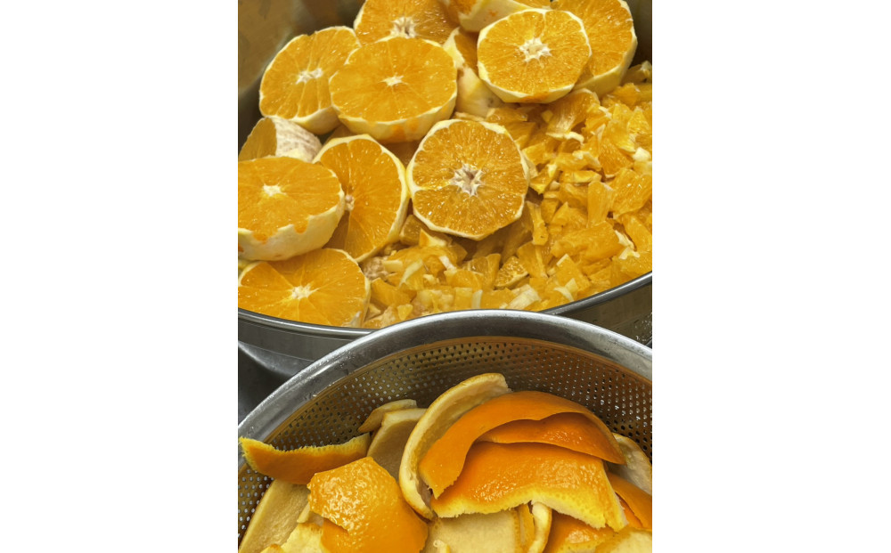 柑橘農家手作り! 無添加柑橘ジャム 4種食べ比べセット フルーツ 柑橘 オレンジ◇
