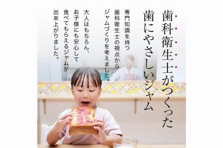 砂糖不使用手づくりジャム3種セット_Ca032