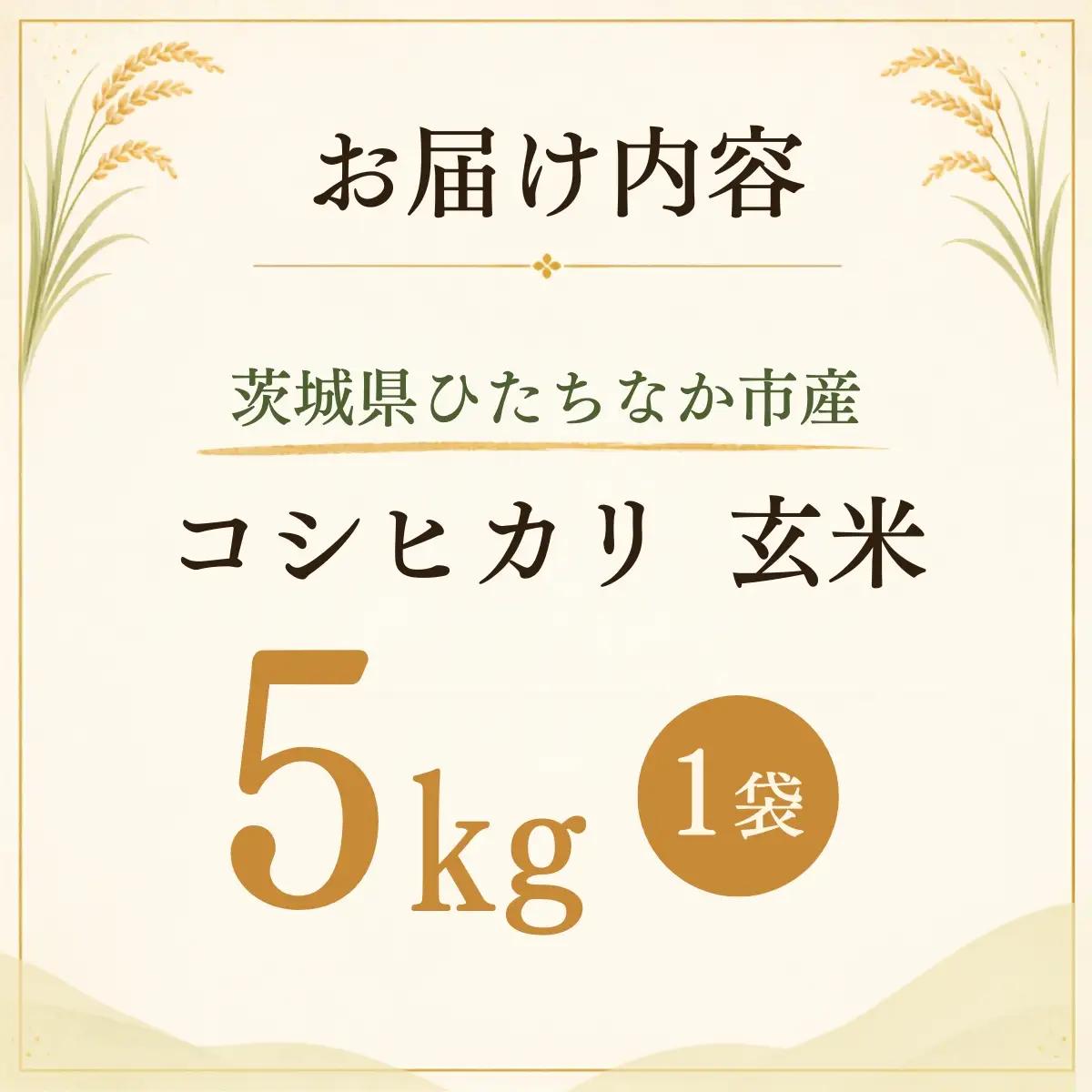 令和8年度米 コシヒカリ 玄米 5kg 農家直送 | 新米 令和8年 先行受付 期間限定 