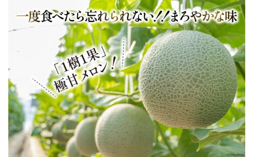 【期間限定発送】LAA048 その道一筋の生産者がじっくり丁寧に育てた マスクメロン 2玉入 [ メロン めろん 西瓜 フルーツ 果物 くだもの 青肉 甘い 芳香 高糖度 糖度 長崎県 島原市 ]