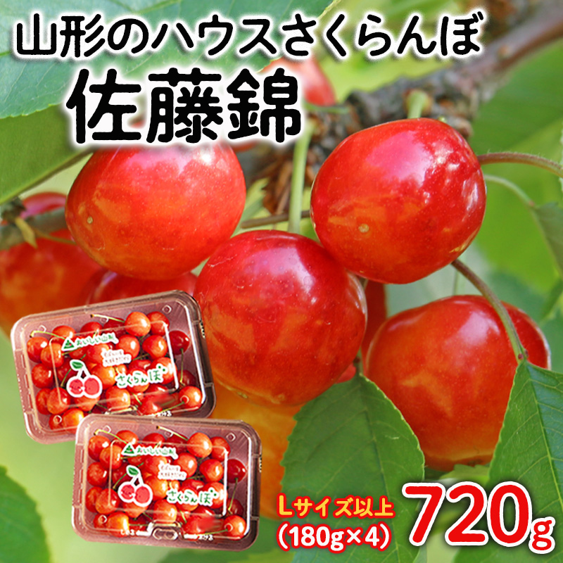 山形のハウスさくらんぼ 佐藤錦 800g(200g×4パック) Lサイズ以