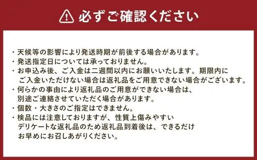 大きめ 赤芽里芋 約3kg 鹿児島県産 ねっとり濃厚 上品な旨味 【2027年1月中旬～3月中旬発送予定】 さといも 赤芽 里芋 ZS-6139