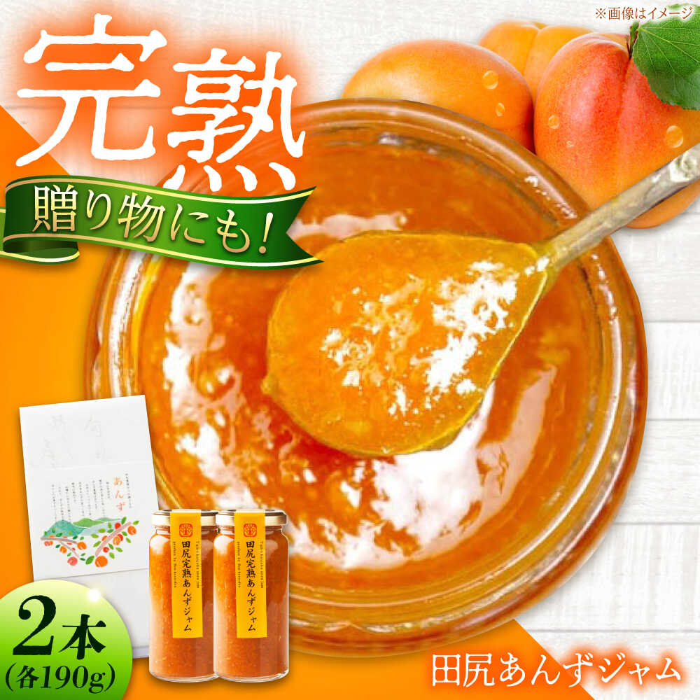 【ふるさと納税】ジャム 田尻完熟あんずジャム (2本) ジャム 果物 あんず パン 甘い 菓子 朝ごはん おすすめ 人気 フルーツジャム トースト ヨーグルト パンケーキ 瓶詰め ギフト 贈り物 セット お取り寄せスイーツ 取寄せ 送料無料 広島県福山市/有限会社勉強堂[BAFL011]