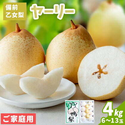 【先行予約】梨 なし ナシ ヤーリー 鴨梨 備前乙女梨 4kg 6～13玉《2026年11月中旬-12月下旬頃より発送予定》石原果樹園 岡山県 浅口市 果物 フルーツ 新鮮 訳あり