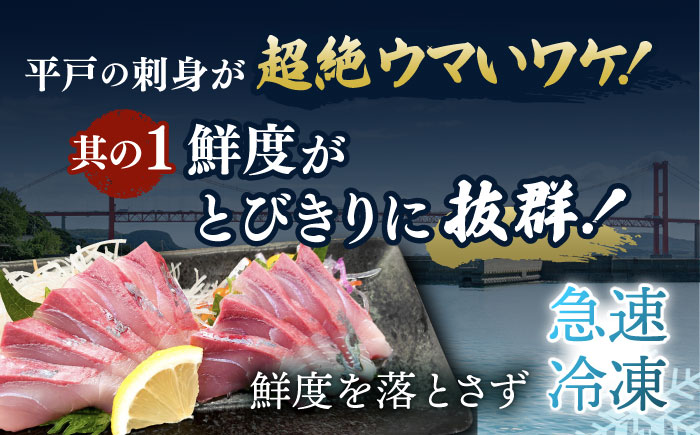 ＜7月発送＞【お好みの厚さで！】平戸の新鮮な魚 刺身用 ブロック 3種 約700g 詰め合わせ【百旬館】[KAK018]/ 長崎 平戸 真空パック 刺身用ブロック  刺身 お刺身 鯛刺身 ブリ刺身 ヒ