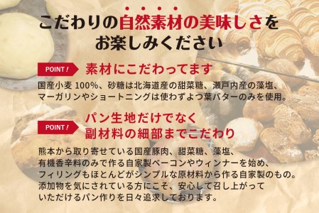  自家培養酵母で焼く店主厳選のアラカルトパン10点セット！酵母パン 国産小麦 国産 パン 酵母 パン10点 自然素材パン 詰合せ 自家製パン  よつ葉バター 無添加 冷凍パン 個別包装 京都府 木津川