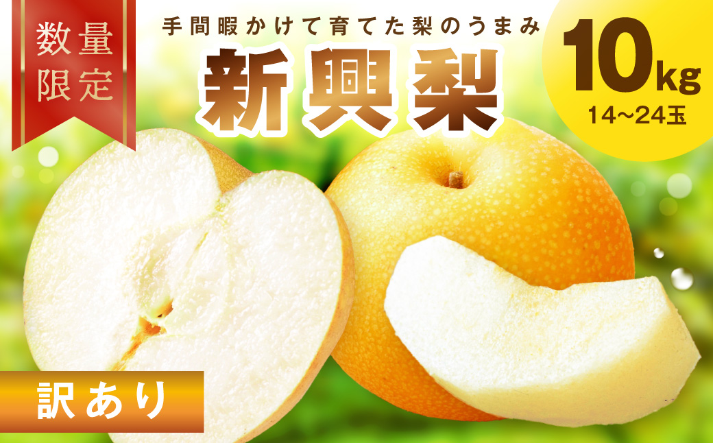 【先行予約／数量限定30】訳あり 新興梨 10kg（2026年10月中旬～発送）　FK00032