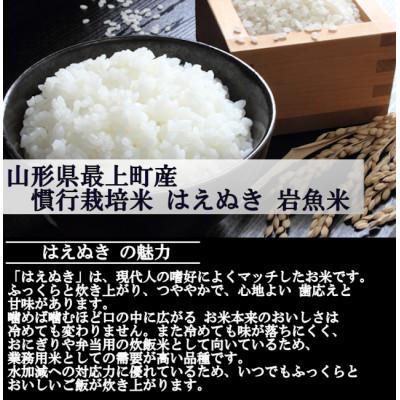 ふるさと納税 最上町 新米　令和8年産 慣行栽培米 はえぬき　白米 10kg　山形県産　西塚農場 |  | 01
