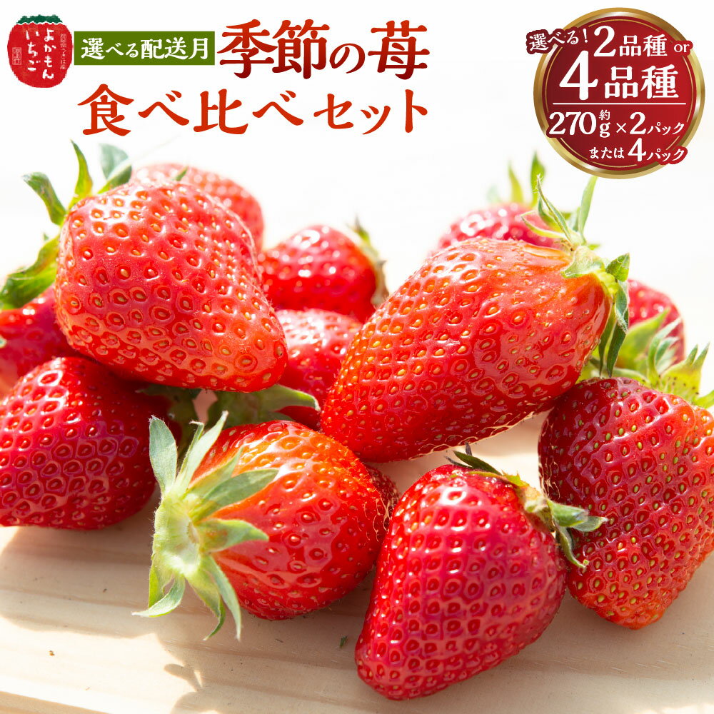 【ふるさと納税】 ＜選べる発送月・品種＞ よかもんいちご 2品種食べ比べセット 【2026年1月から2026年4月出荷予定】 ・【5回定期便】 毎月 出荷予定 送料無料 福岡県 うきは市