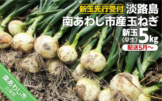 
【新玉予約】淡路島　南あわじ市産玉ねぎ5kg　早生　◆配送5月～
