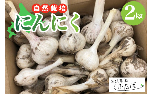 北海道十勝芽室町　自然菜園ふたば　宇佐美亮のにんにく　2kg　me074-006c