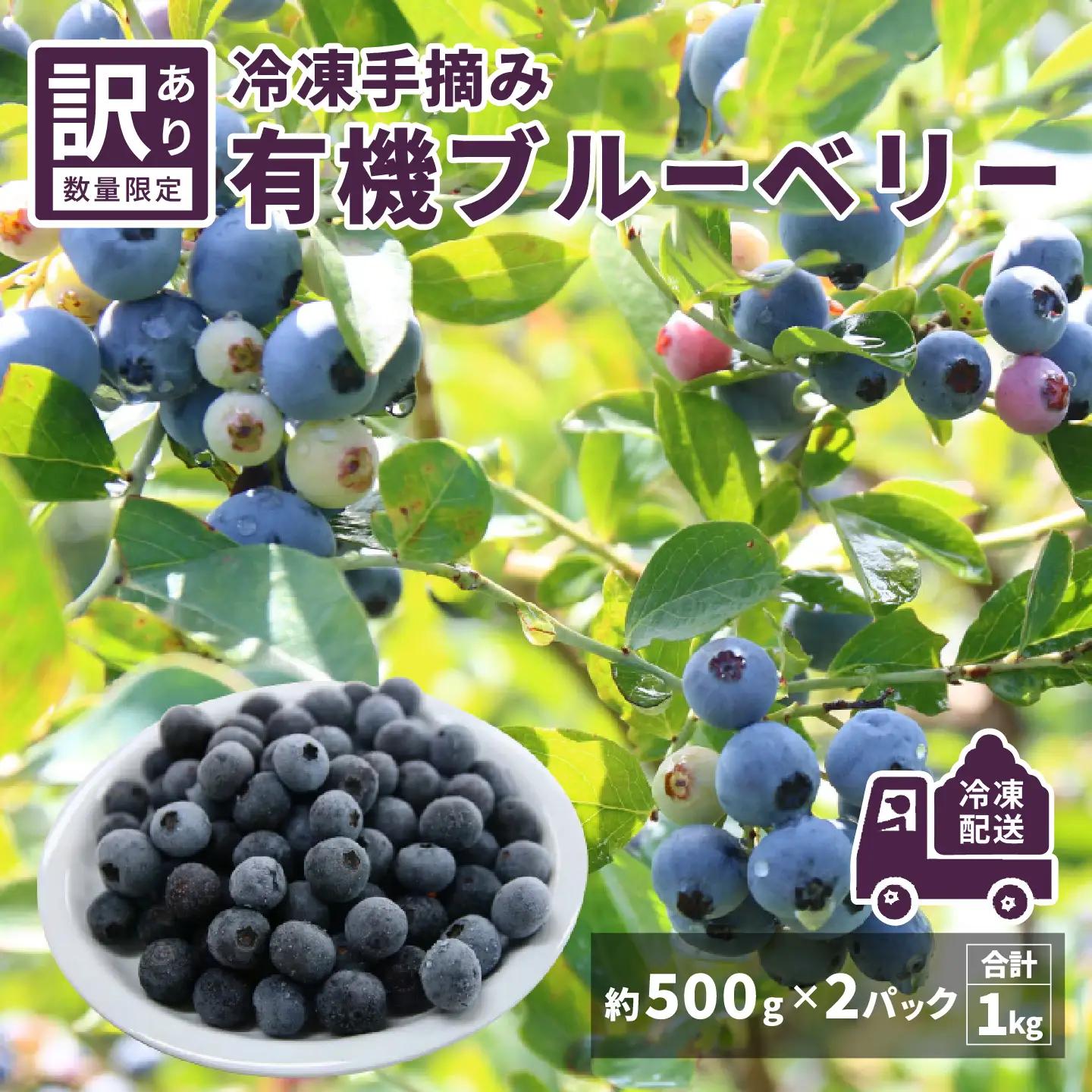 【訳あり】令和8年産〈冷凍〉手摘み有機ブルーベリー1kg（500g × 2パック）果物 フルーツ