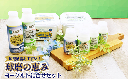 球磨酪農おすすめ！球磨の恵み ヨーグルト 詰合せ セット ヨーグルト1kg×2個・のむヨーグルト（450g×2本・150g×6本）※配送不可：沖縄・離島 乳製品 ヨーグルトドリンク 生乳100% 熊本