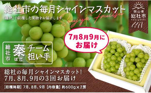 
            【3回定期便】総社の毎月シャインマスカット！7月、8月、9月の3回お届け　総社市秦チーム担い手【2025年産先行予約】25-100-001
          