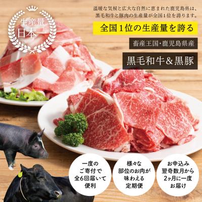 ふるさと納税 南さつま市 【スターゼン厳選定期便】鹿児島県産 黒毛和牛・黒豚定期便 (全6回) |  | 01