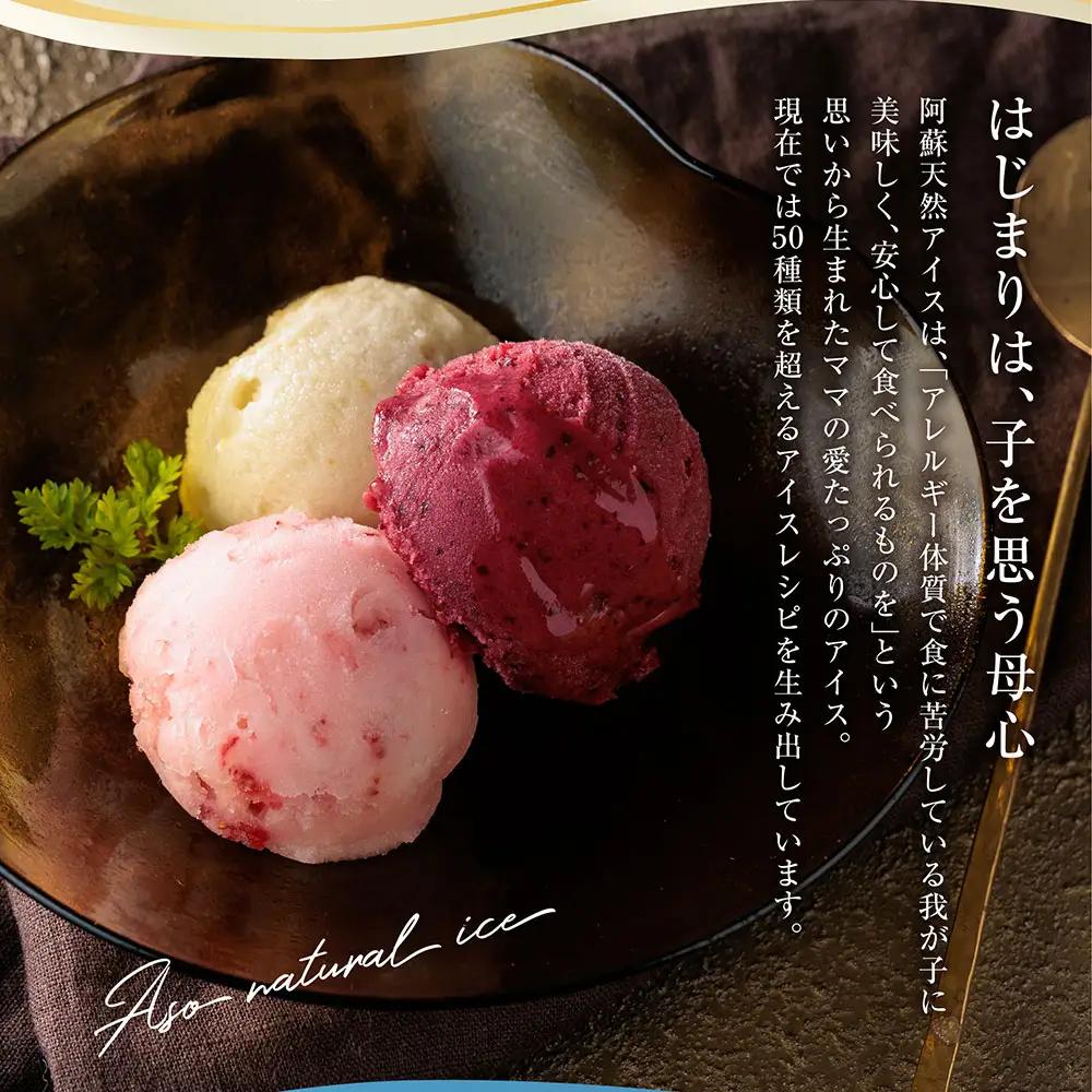 【定期便/全3回】阿蘇天然アイスのアイスやジェラートを3か月お届け！（阿蘇天然アイス）