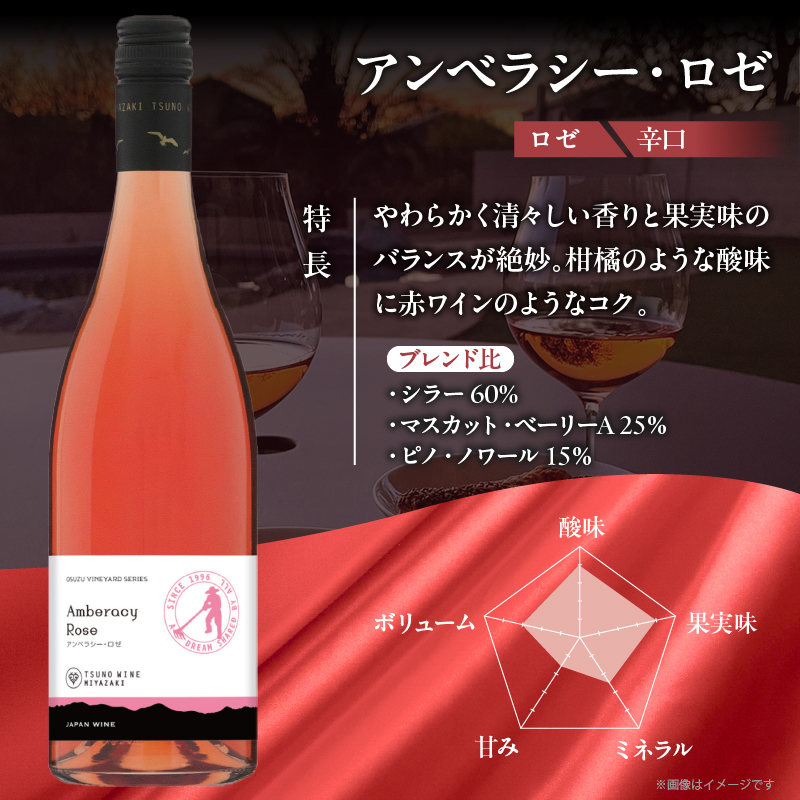 【数量限定】アンベラシー ロゼ(計1本)_T014-047【ワイン 酒 アルコール 国産 人気 ギフト 食品 飲料 BBQ お土産 限定品 贈り物 送料無料 プレゼント】
