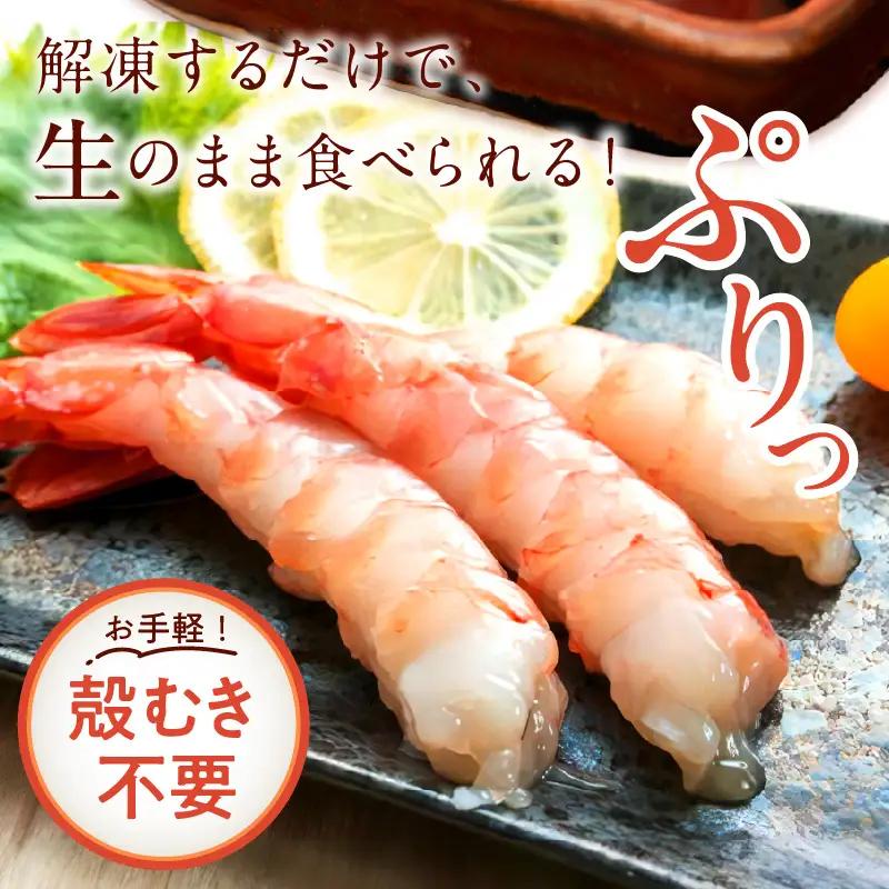 甘えび むき身 20尾×3 刺身えび 日本海産甘海老