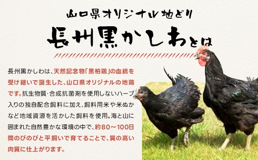 長州黒かしわは、天然記念物「黒柏鶏」の血統を受け継いで誕生した、山口県オリジナルの地鶏です。