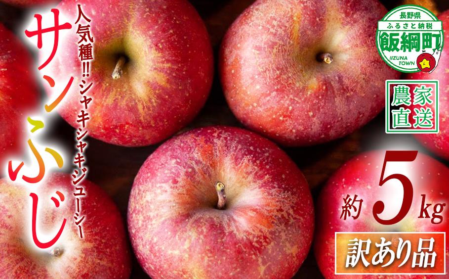 [1286]【先行予約】サンふじ　訳あり5kg　※沖縄および離島への配送不可　松澤農園　長野県飯綱町産