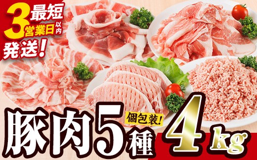 ＼3営業日以内発送／ 豚肉 バラエティーパック (合計4kg) 豚バラ しゃぶしゃぶ 鍋 とんかつ ロース 小分け 個包装 豚こま 小間切れ スライス ミンチ 5種 セット 詰め合わせ 冷凍 食べ比べ 国産 大分県 佐伯市【BD325】【西日本畜産】