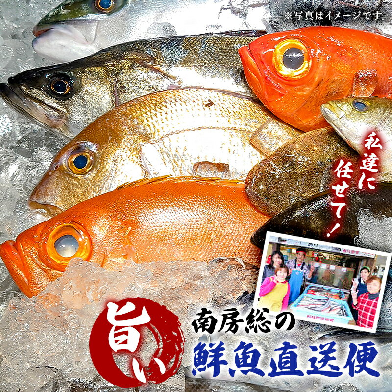 【ふるさと納税】 私達に任せてみませんか 南房総の旨い鮮魚直送便 千葉県 南房総市 グルメ 絶品 お刺身 新鮮 活きの良さ 旨味 茹で 魚介 磯の 香り 福袋 グリル 煮付け 地魚 送料無料