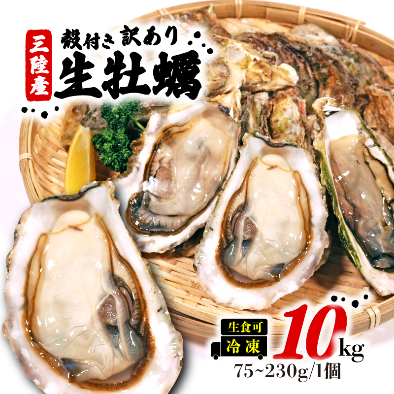 訳あり 岩手県産冷凍殻付き牡蠣 10kg [koku008_2_1]