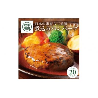 ふるさと納税 酒田市 【平田牧場】日本の米育ち◆三元豚 煮込みハンバーグセット　計20個