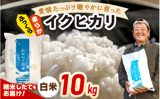 【先行予約】令和7年産 愛情たっぷり健やかに育った ふっくら 柔らか イクヒカリ（白米）10kg【2025年9月下旬以降順次発送予定】 [m29-a015]