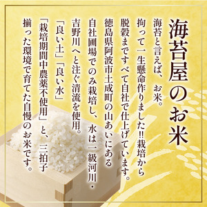 コシヒカリ 海苔 セット 米 2kg 味付け海苔 3本