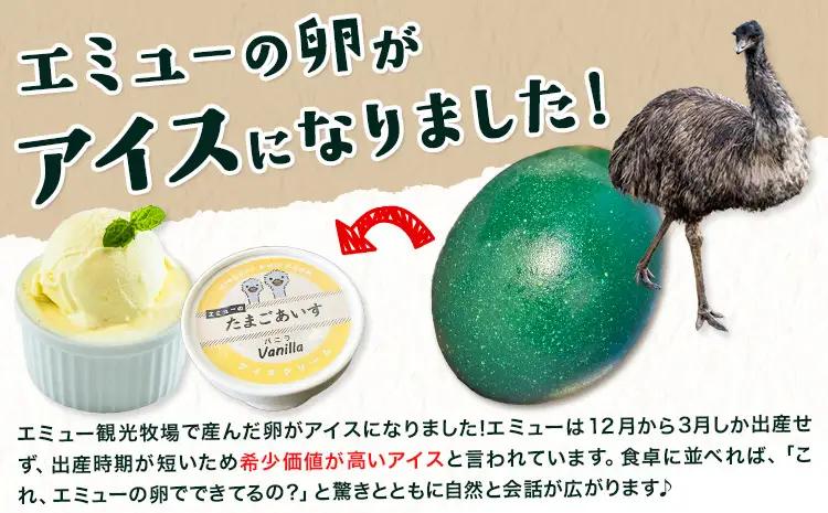 エミューのたまごアイス 8個入り エミュー観光牧場 《30日以内に出荷予定(土日祝除く)》 熊本県 菊池市 卵 たまご エミュー 食用卵 アイス デザート 国産 熊本県産 産地直送 送料無料